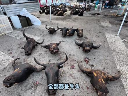 来赶萧县的大集了,十月古会全场八公里 #萧县 #赶集 #摆摊日记 #寻美安徽 #寻美宿州