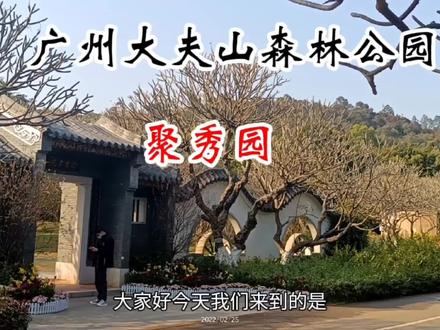 广州大夫山森林公园,依山伴水休闲散步的好去处。重点免费! #游山玩水看风景 #身边的风景 #园林景观 #广州大夫山森林公园