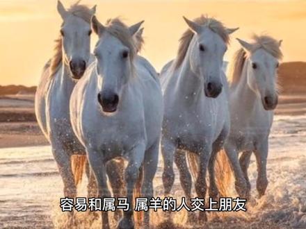 丁巳日柱出生的人#易学智慧 #丁巳日柱