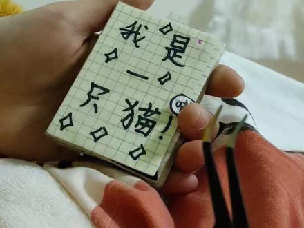 自制安静书《我是一只猫》🐱【一】