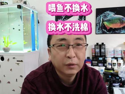 喂鱼不换水,换水不洗棉,为什么?#有趣的知识又增长了#涨知识#科普#省流 #观赏鱼#养鱼日记