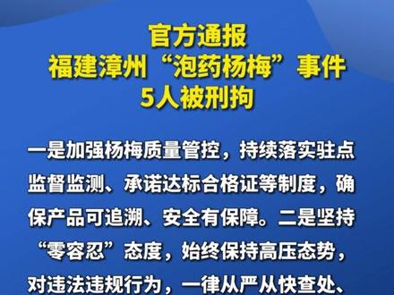 官方通报福建漳州“泡药杨梅”事件,5人被刑拘