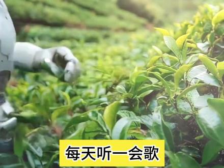 汽水音乐 乐享音乐领金币phy #汽水音乐 #真人 #金币 #ly #226
