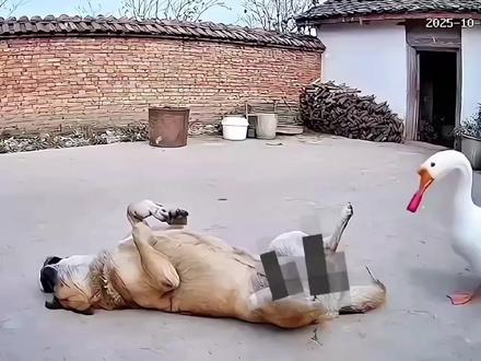 三月七:他慢慢不再是个男孩#崩坏星穹铁道 #满月是神不在的时间 #三月七 #三月七生日 #咕咕嘎嘎