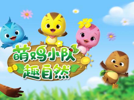 孔雀为什么会开屏?#萌鸡小队#轻漫计划 #动画