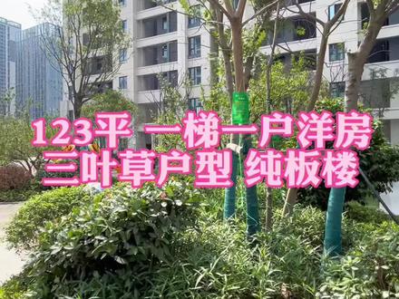 樊城区绿地商圈家门口48中学校 ,看房方便 ,有兴趣随时联系我 #襄阳房产 #今日好房推荐 #今日优质房源实景拍摄 #抖音房产创作者 #抖音房产