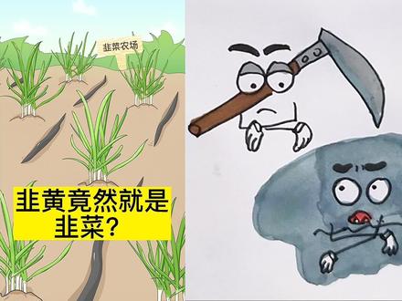 韭菜变韭黄#简笔画 #画画 #想画就画 #一学就会系列 #儿童简笔画 @抖音小助手 @抖音青少年