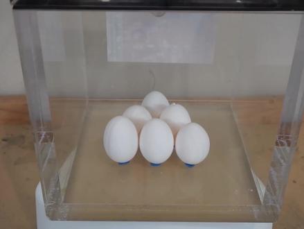 进入真空环境会怎样?小伙用手测试,结局差点收不回来