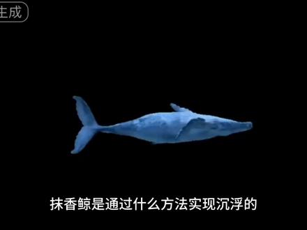 深海潜水之王抹香鲸,如何在深海实现轻松自由浮沉的? #抹香鲸 #浮沉条件的应用