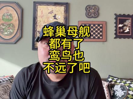 蜂巢母舰都有了鸾鸟也不远了吧 #九天无人机 #蜂巢母舰 #新作战模式 #新装备 #原创