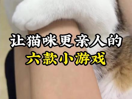 猫咪眼中懂它的神,都是这么跟它玩互动游戏的#养猫人 #猫咪冷知识 #新手养猫 #养猫也出教科书啦 #科学养猫