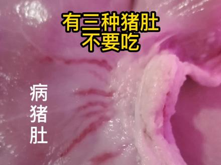 过年了,M猪肚必看#放心肉 #猪肉 #猪肚 #美食#抖音热门