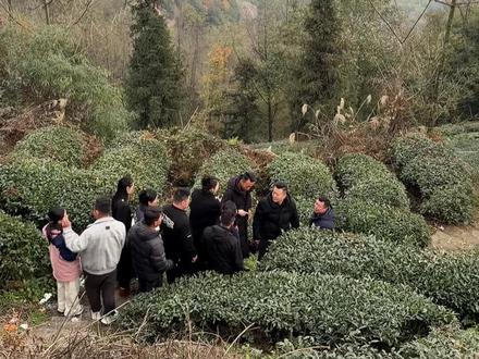 琪琪是否在阻止我们找到红红#记录真实生活