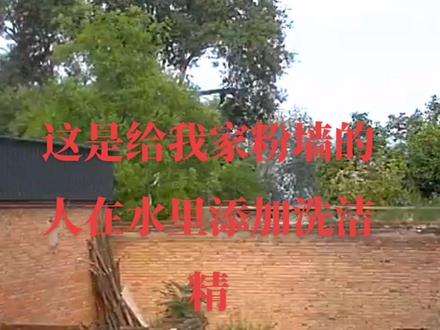 水泥砂浆添加洗洁精会减少水泥的寿命