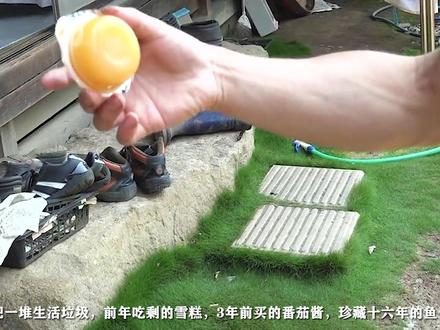 沉浸式养蚊子,为了这三五条小鱼,这位养鱼佬竟然养出8000条蚊子 #我的乡村生活