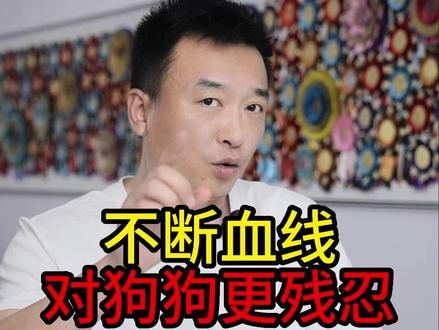 你家狗狗有没有断过血线?狗狗断血线是一件很残忍的事吗?#狗狗断血线 #狗狗故事