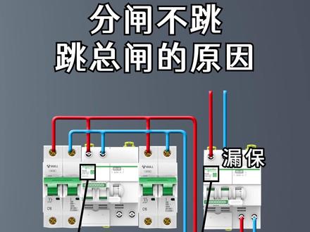 分闸不跳跳总闸的原因 #电工 #电工知识分享