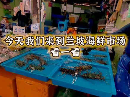 三亚餐厅4只“泰国皮皮虾”卖1035元,在泰国本地卖多少钱? 🦐三亚1035元4只虾的事件闹上热搜了,这个价格到底合不合理?今天在泰国芭提雅的兰坡海鲜市场,咱们不吹不黑,直接看看在泰国当地卖多少钱?
——————
🧘🏻♂️游,在体会|稀游紀
-------------
#三亚海鲜事件 #三亚皮皮虾事件 #三亚皮皮虾事件店主去世 #皮皮虾店主去世 #泰国濑尿虾一夜可能就死了 #1035元4只皮皮虾 #皮皮虾 #泰国濑尿虾一夜可能就死了