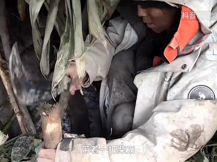 七星山“荒野求生”背后,想改变生活的普通人 在生活中摸爬滚打的他们,把参加“荒野求生”当作一次改变的机会。对他们来说,这样在野外吃苦,只是暂时的身体之苦,远不及生活的重量。#媒体精选计划