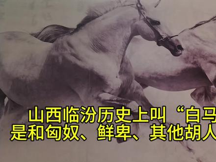 山西临汾历史上叫“白马城”是和匈奴、鲜卑、其他胡人有关吗?临汾历史悠久,文化灿烂,对中华文明有着重要贡献。探究往昔的辉煌有多种办法,从其名称的变迁便可以窥一斑而知全豹。历史上平阳城、高梁城、白马城、卧牛城、临汾城等。今天我们一起探究白马城的来历。一、平阳迁址,平阳迁址就是将原先设置在汾河西的平阳古城,也是临汾第五次建都的后汉国都金殿搬到现在临汾城的位置。时间大约公元528年左右。为什么要迁址?临汾第五次建都的匈奴人刘渊创建的后汉灭亡后,不少匈奴人没有离开平阳一带,而是就近跑进姑叶山居住下来,有的甚至渡过黄河到了陕北高原。此后七八十年间,黄河流域战事频繁,动乱不休,平阳城不断变换旗号。后来崛起于北方大漠的鲜卑族拓拔氏建立了北魏,平阳成了北魏的郡治。统治者便把这些居住在山中的匈奴人称为山胡。山里的胡人!这些山胡依凭险峻的山势反抗朝廷,官方多次征讨均无功而返。但是,山胡下山,每次都掠夺到大量的衣食财物。紧邻吕梁山的平阳城屡遭扰害,深受其苦。二,初建白马新城。白马城不是城市的正规名称,只具有纪念意义。《水经注》有相关记载:“汾水又南,经白马城西,魏刑白马而筑之。”由此可知,白马城建立于北魏时期。北魏的皇帝是鲜卑族,遇有重大事情要杀马歃血举行盟誓。而且那马必须是白马,那时最珍贵的马是白马,而吕梁山中的吉县、乡宁多有白马,因此“刑白马而筑之”。关于白马历史?要借助发生在古代临汾的成语故事:“假道伐虢和唇亡齿寒。故事发生在春秋时期,晋献公时一直往外扩大疆土,史称其“并国十七,服国三十八”。著名的“假道伐虢”故事:晋献公决定攻下虢国;但是虢、虞地理相连,虢国和虞国是唇齿相依的,这就是成语唇亡齿寒出处,晋献公就向虞借道攻虢,让大夫荀息携带宝马和美玉送给虞国的国君,然后向虞国借路出兵去打虢国。虞公贪利,不听从大臣的劝告,答应借道给晋献公,结果晋献公灭了虢国后,乘虞不备,又灭了虞国。三,新城扩建。白马城最初是以军事城堡的面目出现的,它建在汾河东岸二级阶地前沿,西、北两面高出汾河河床二三十米,白马城原来只有现在鼓楼西古城墙内至临汾一中西面的不大地盘,从现今市委往西、往北,到城墙一带的范围之内。东面到莲花池,估计城郭就局限在这个小地盘里。站在白马城头,望着脚下的汾河和对岸远处的吕梁山,居高临下的感觉很强。北齐时期有一个很重要的攻城闹剧历史事件。北魏后来分为东魏、西魏,东魏、西魏又分别被北齐和