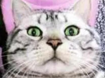 第一次接吻是种什么体验?#接吻的好处 #情侣 #情感共鸣