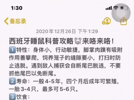 超详细西班牙睡鼠攻略!!!#抖音热门 #西班牙睡鼠