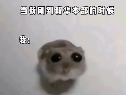 来自21界的吐槽#内容过于真实