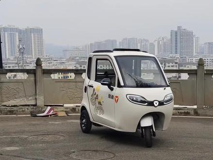 雅迪EV306两门全封闭三轮篷车,到货!