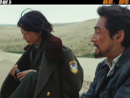 杨紫、胡歌《生命树》 邵云飞离开了巡山队,但是白菊的哥哥白椿回来了#生命树#杨紫#胡歌