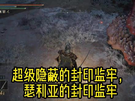 嗯?艾尔登瑟利亚封印监牢居然藏在这里? #游戏日常 #游戏 #艾尔登法环攻略 #艾尔登法环boss #游戏梦想家寻宝季