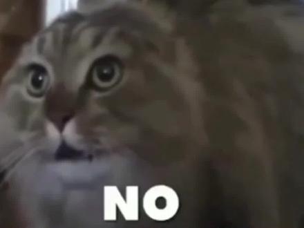 家人们,文字描述就能出来超高质量的视频了#阿里千问 #ai #ai视频 #ai工具 #千问