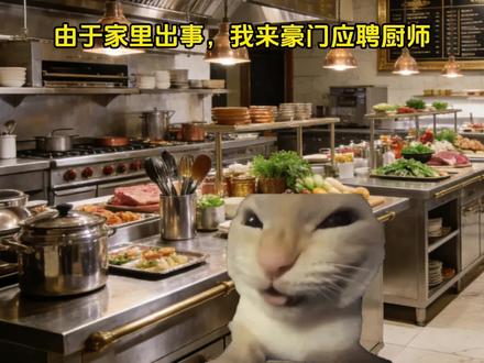 《喵喵控制》1-8#猫meme #猫meme故事 #上热门