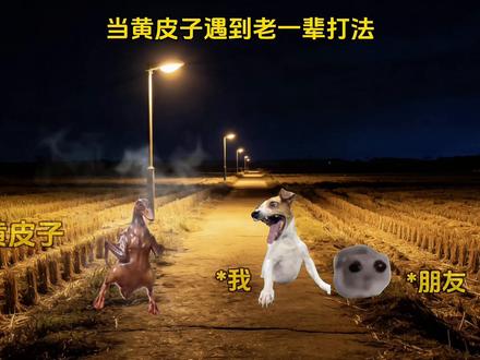 当黄皮子遇到老一辈打法#猫meme #万万没想到 #老一辈打法