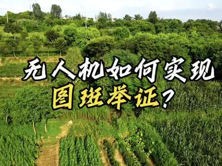 无人机如何实现图斑举证?跟着我一起来看看吧#大疆无人机 #测绘仪器 #无人机培训 @DOU+上热门