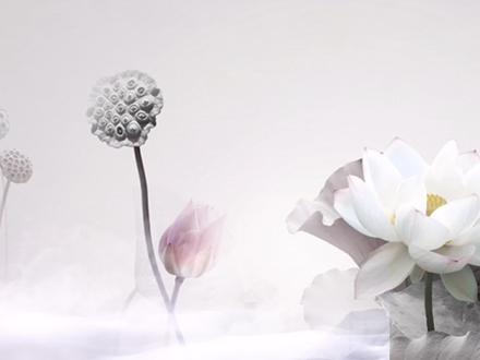 柳体楷书千字文书法创作-似兰斯馨如松之盛 #书法艺术 #文化 #汉字之美 #国学文化 #练字#老猪爱写字