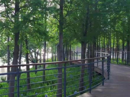 99.99%的濮阳人都不知道这个地方,人真的很少,野炊最佳地点