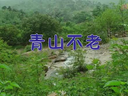 20 《青山不老》课文朗读