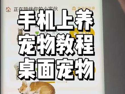 手机桌面宠物电脑宠物设置教程 教大家如何在手机和电脑上养宠物,并且把自己家的宠物狗宠物猫放到手机上。#手机宠物教程 #桌面宠物教程 #桌面宠物 #手机养宠物 #空鱼桌面宠物