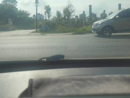 惠水-摆金
有四五年没走了
听说已经可以通车#开车第一视角 #惠水 #惠水同城 #惠水县 #摆金镇