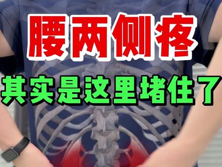 后腰两侧酸胀痛,其实都跟这块肌肉有关❗ #腰肌劳损 #腰方肌 #腰痛改善 #腰痛怎么办 #腰方肌劳损
