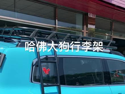 哈佛大狗安装行李架非常帅气,老板也是位帅气的哥#哈佛大狗 #哈佛 #行李架 #汽车恒昌汽车内饰改装 #福州