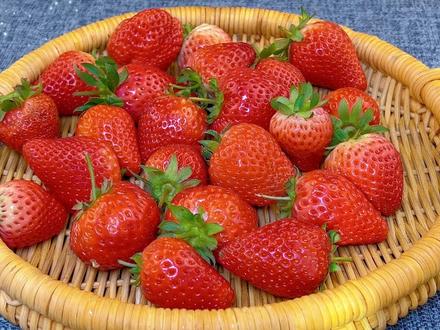 草莓里加3个鸡蛋,这种做法我家孩子最爱吃,比蛋糕还香甜,解馋 #治愈系美食 #低卡 #在家做美食 #吃瘦不饿瘦