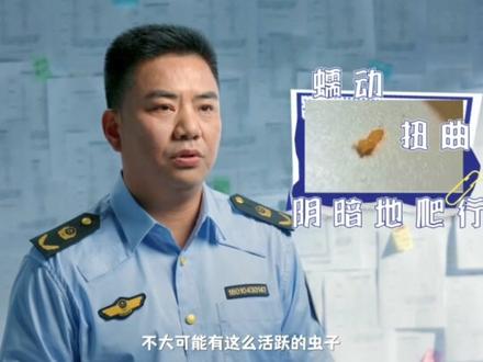 《你好,12315》第一季:消失的证据
#青年创作者成长计划 #你好12315 #维权