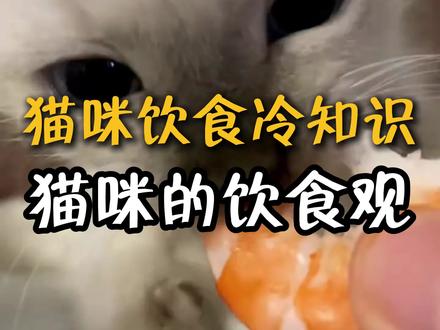 猫咪饮食习惯的冷知识 你知道吗?#宠物冷知识 #猫粮 #宠物知识 #高鲜生猫粮 #鹅兔双鲜夹心粮