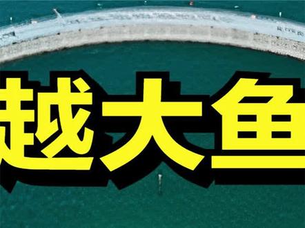 风浪越大鱼越贵!他在深海建造神秘大网,养殖大黄鱼,一斤能卖100元,一网鱼能卖3千万元 #三农 #致富 #创业 #大黄鱼 #养鱼