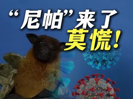 印度突发疫情!老百姓不要过度恐慌 注意这几点很重要!#尼帕病毒 #印度疫情 #医学科普 #尼帕病毒是什么 #抖出健康知识宝藏