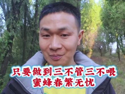 只要做到三不管三不喂,就能让蜂群更好的春繁 #春繁 #蜜蜂 #养蜂人 #养蜂技术分享 #农村生活