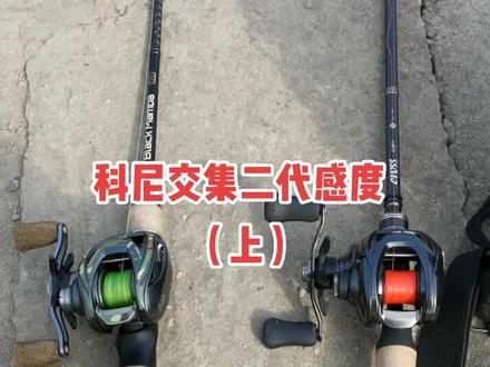 国产天花板科尼交集二代独节竿和黑曼巴对比(上)#抖音小助手