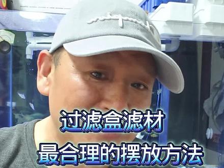 #真实生活分享计划 过滤盒滤材最合理的摆放方法,空气缸是这样形成的#养鱼 #养鱼日记 #养鱼养心 #养鱼人
