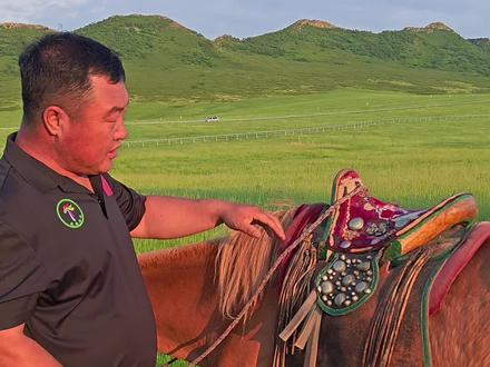 蒙古马鞍的特点#骑马 #蒙古马 #马背上的民族 #游牧生活